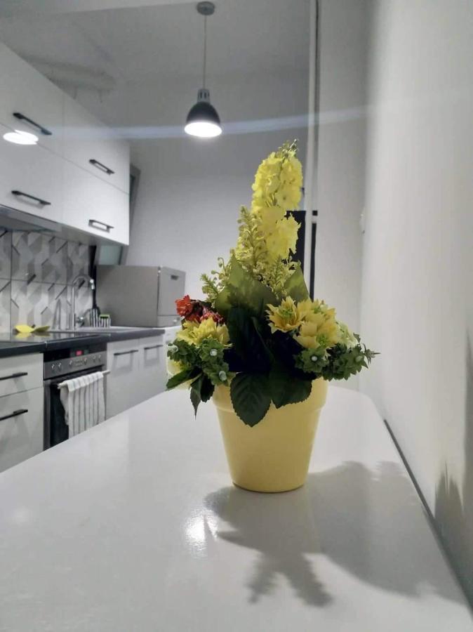 A Convenient Apartment In The Heart Of Athena Bagian luar foto